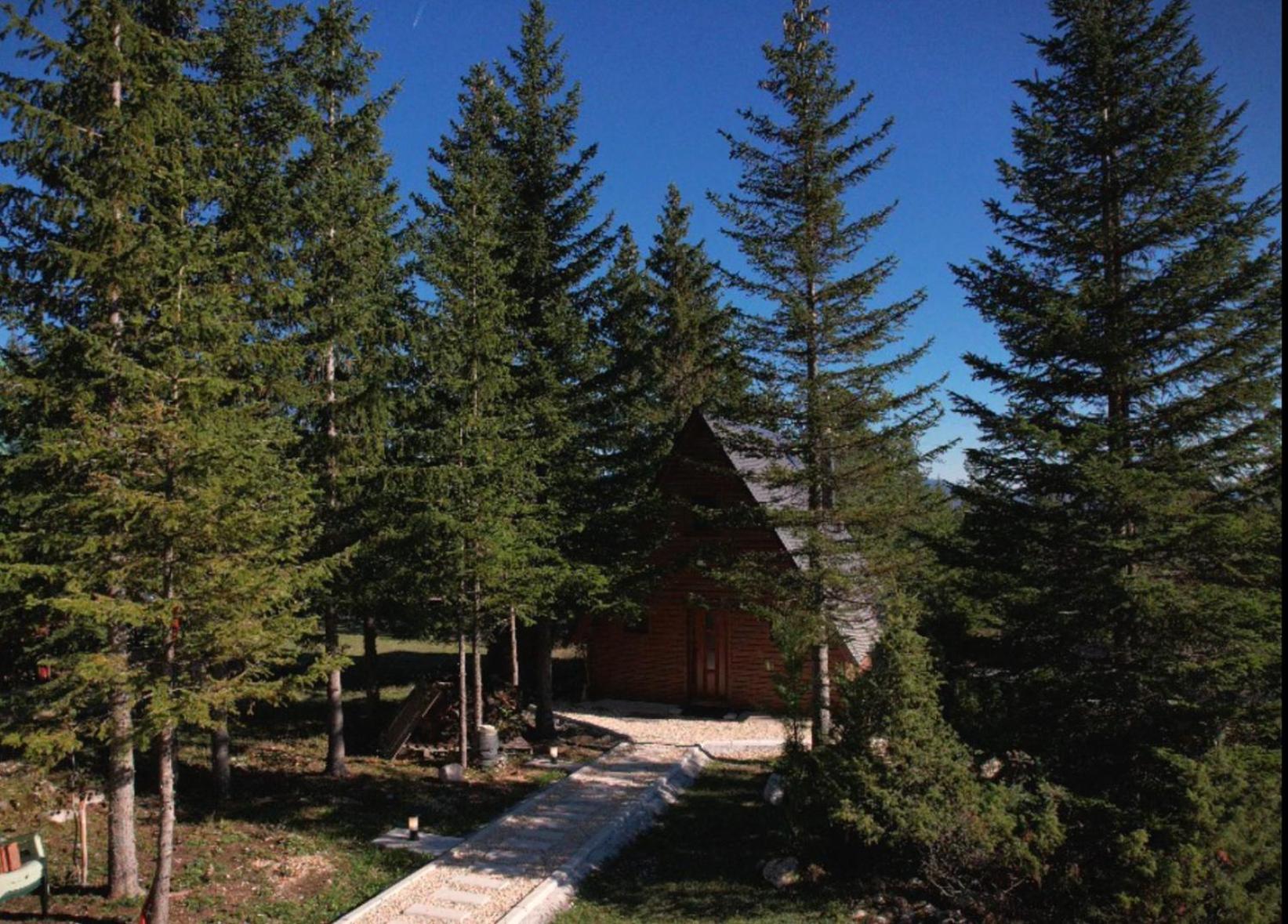 Wonderwood Cabin 2