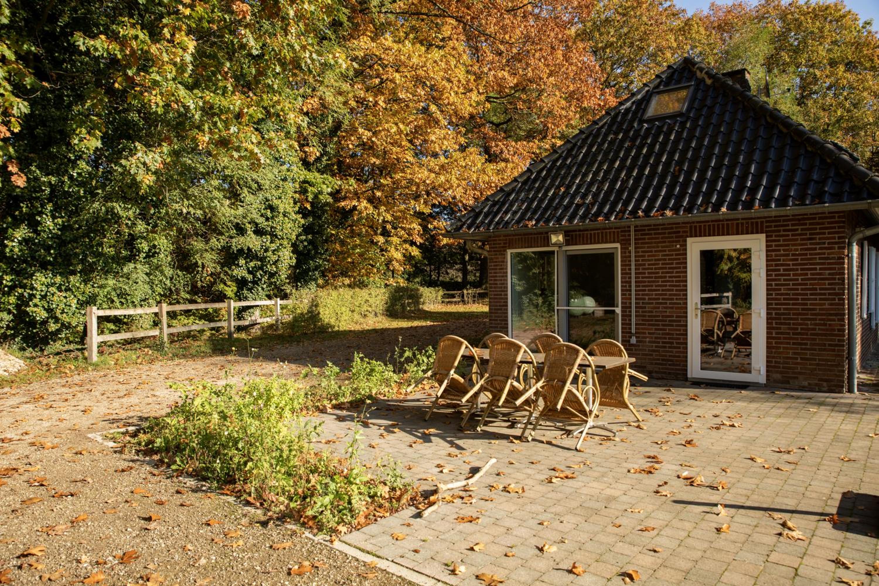 Tussen Heide en Bos, unwind in nature, photo 16