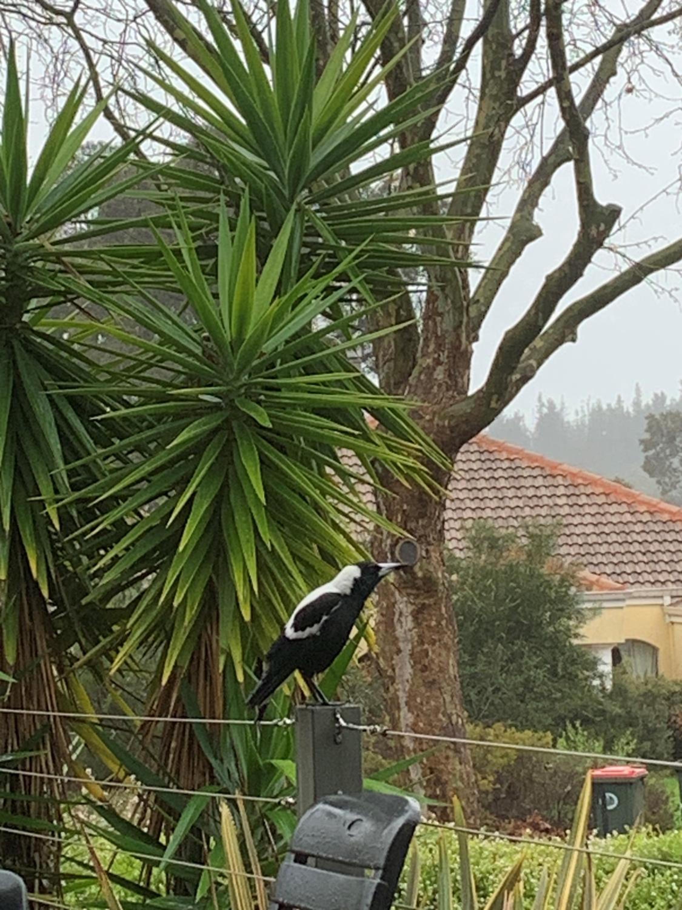 Serendipity - In Town - Margaret River