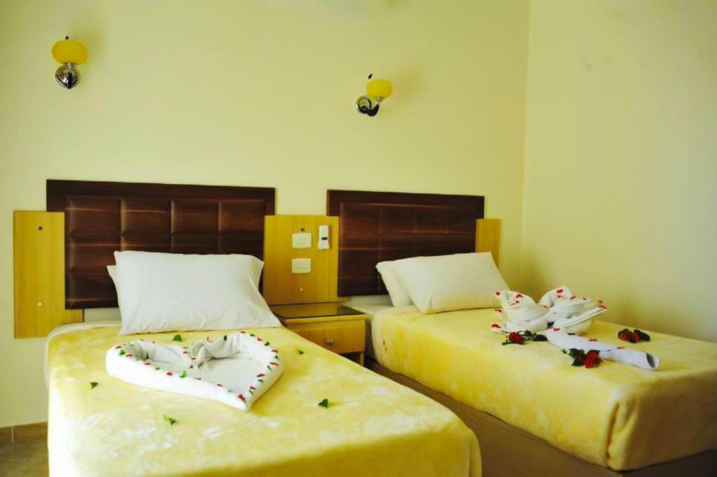 Sharks Bay Oasis Hotel