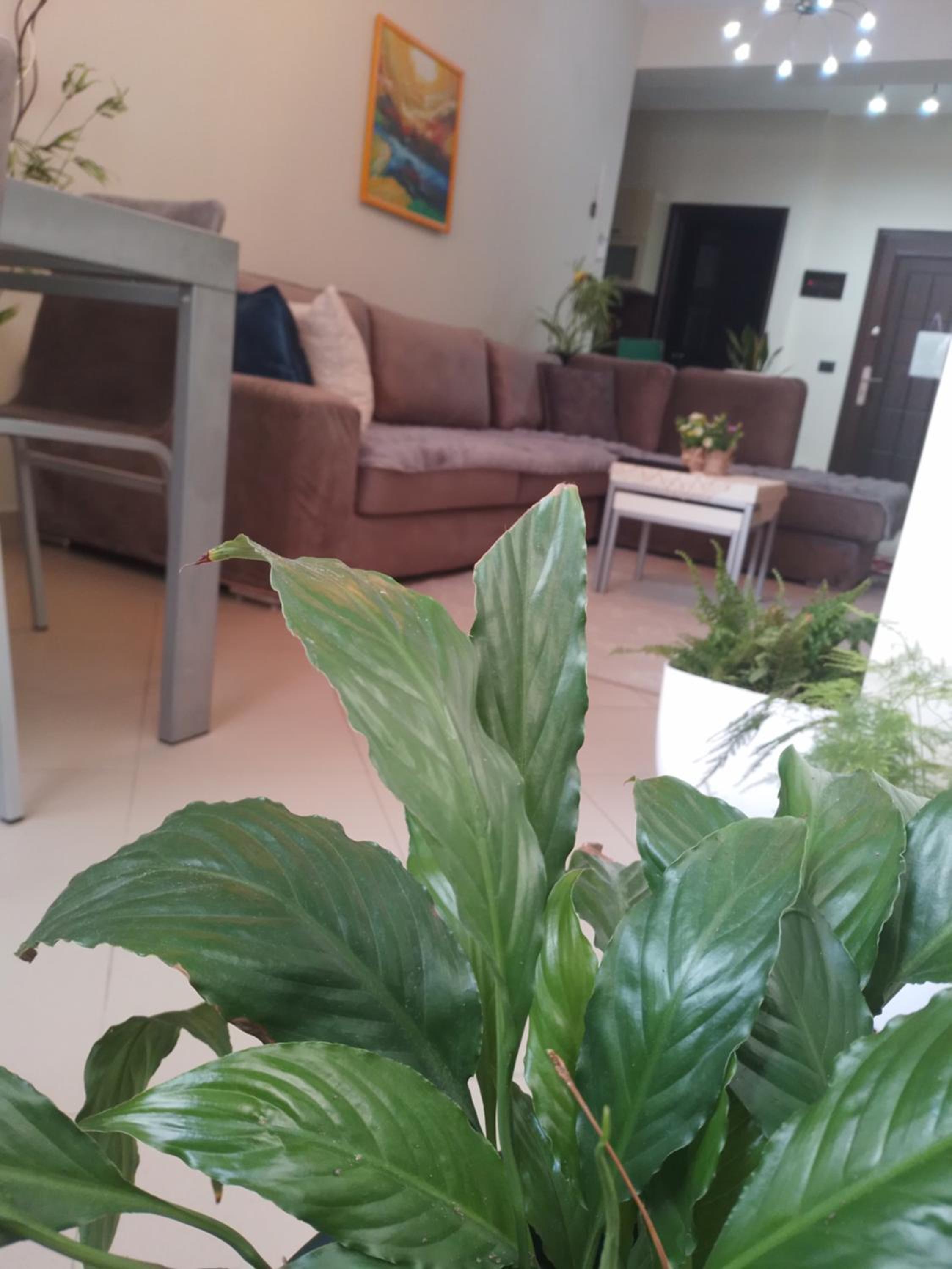 Bora Home Albania me vetshërbim 24 orë pranë Liqenit