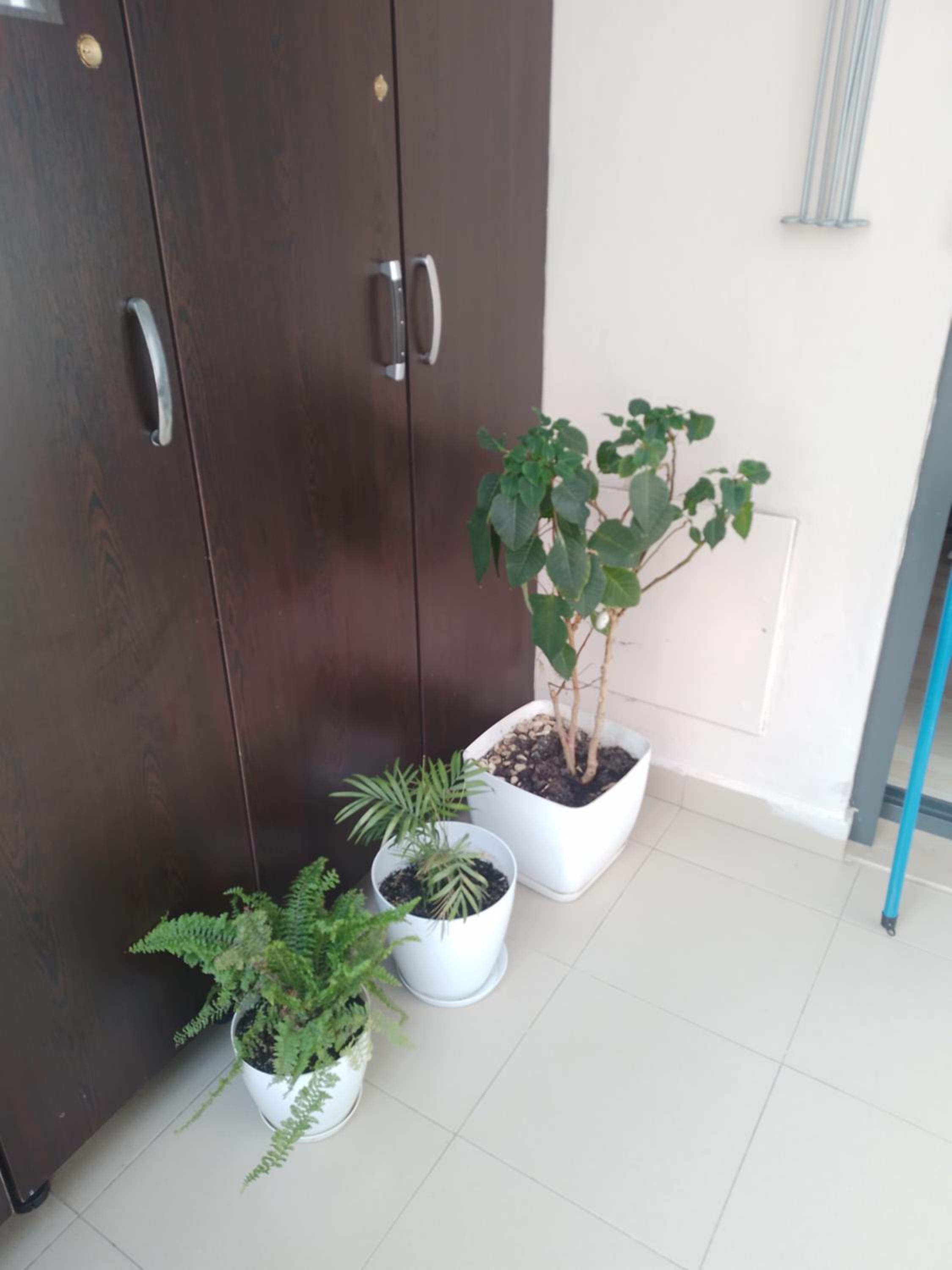Bora Home Albania me vetshërbim 24 orë pranë Liqenit