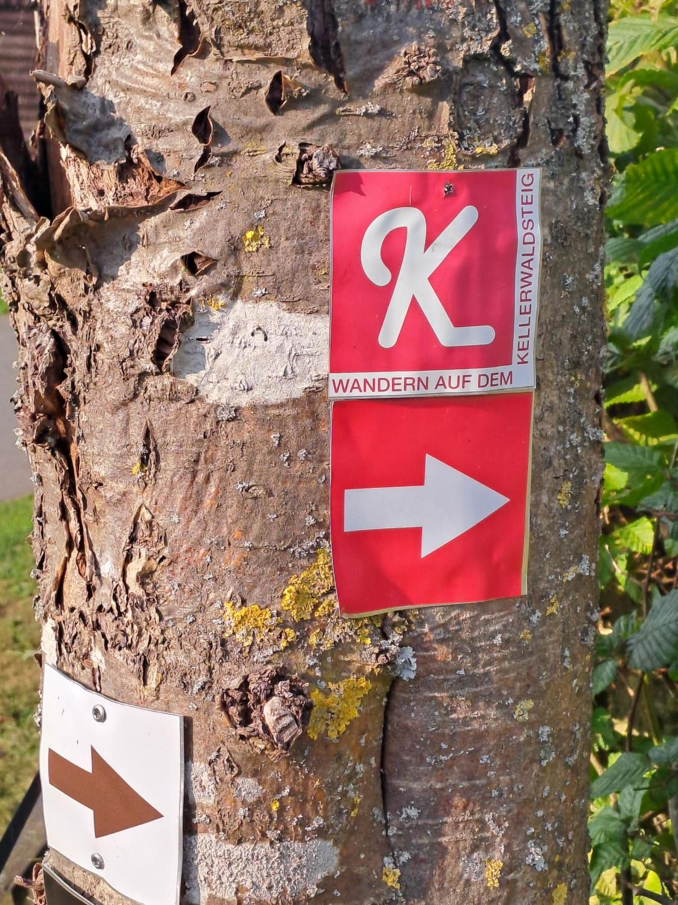 Ferienwohnung Schäfer am Nationalpark Kellerwald