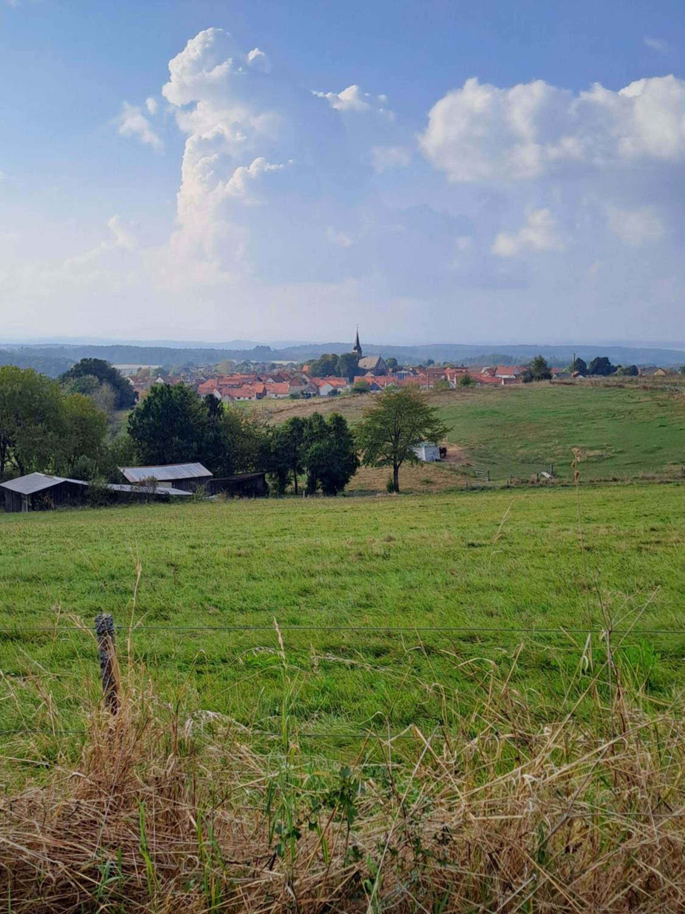 Ferienwohnung Schäfer am Nationalpark Kellerwald
