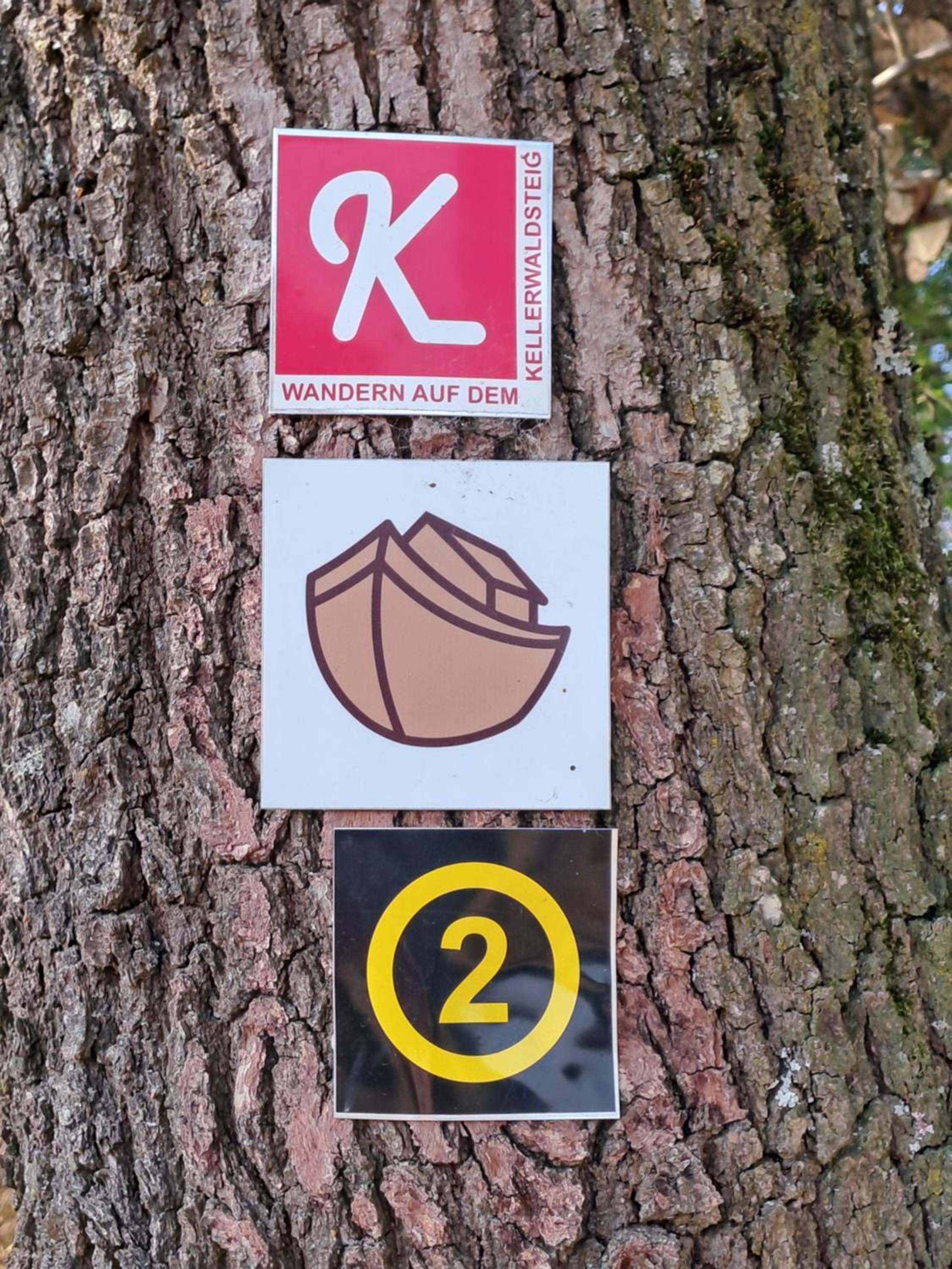 Ferienwohnung Schäfer am Nationalpark Kellerwald