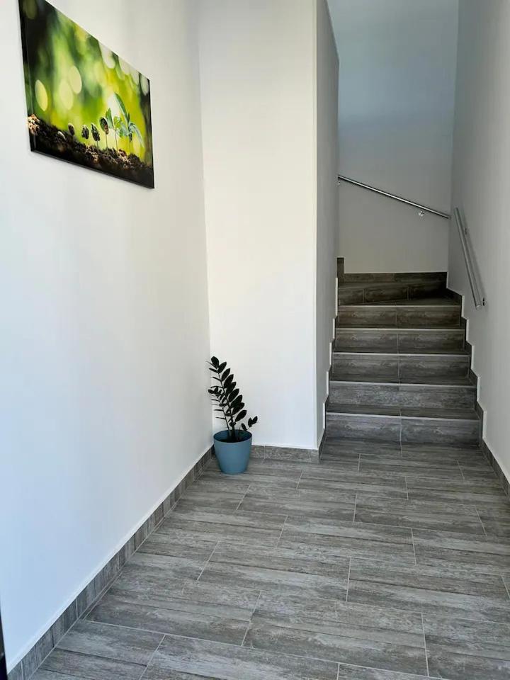 Axon Apartments