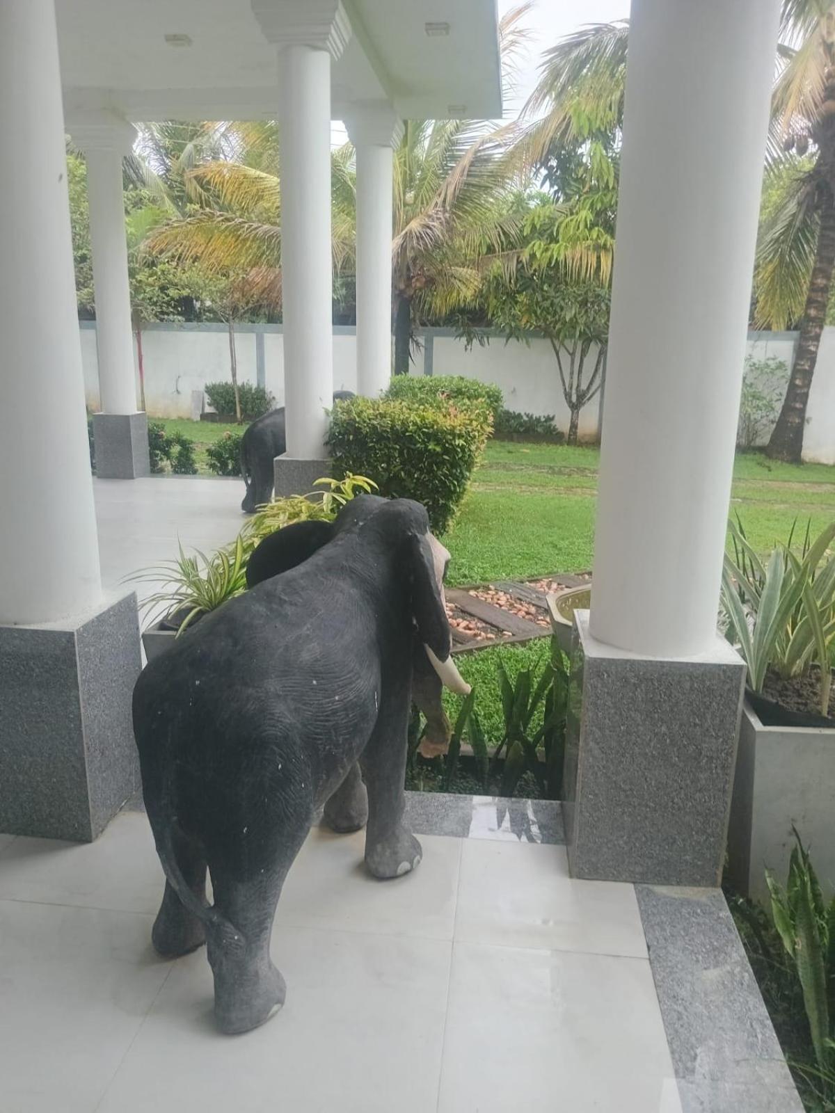 Green Villa view 5