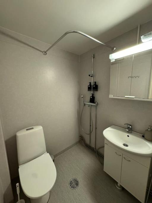 Arctic Boreal Studio