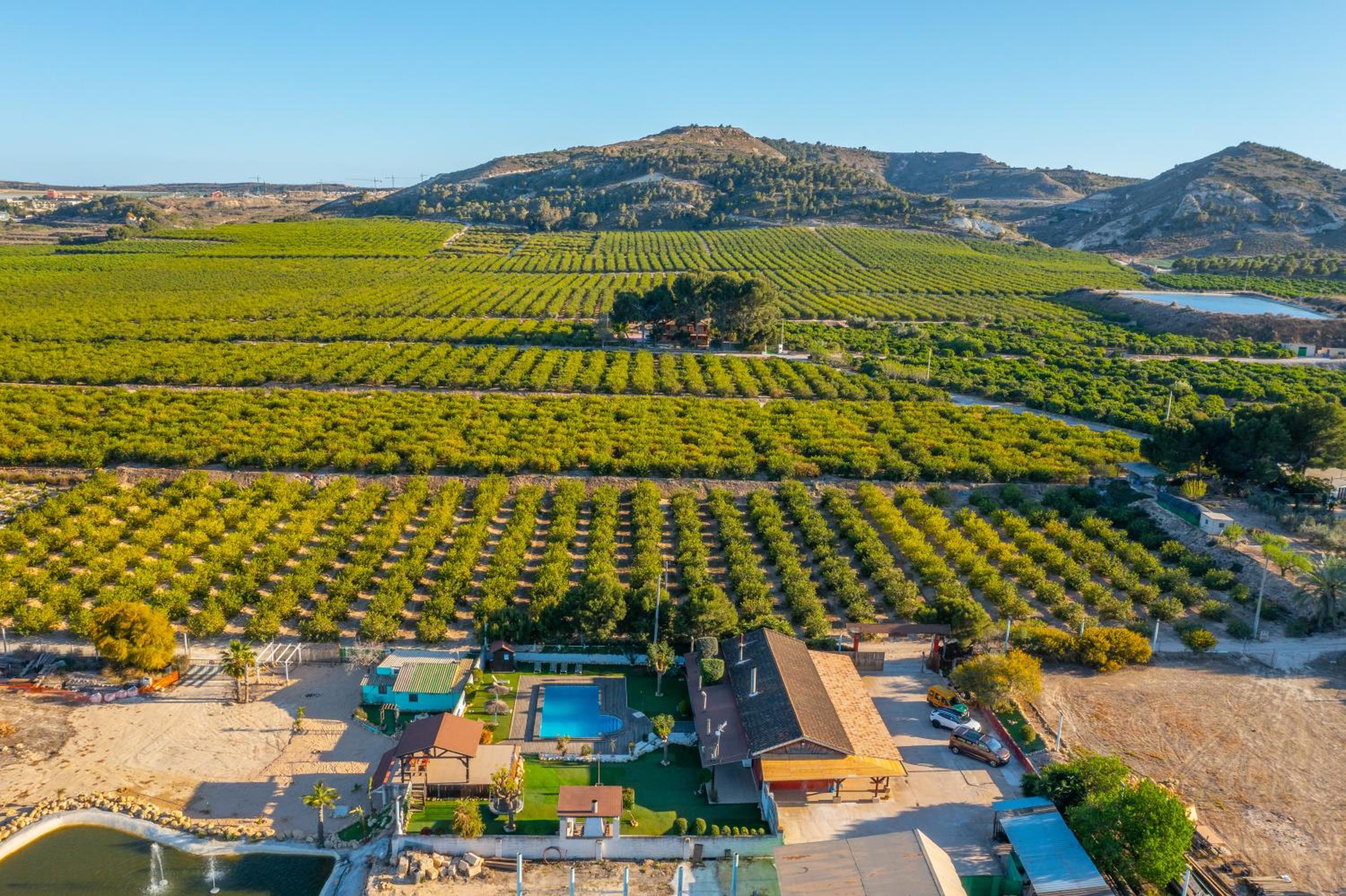 Finca Los Caleros - Algorfa