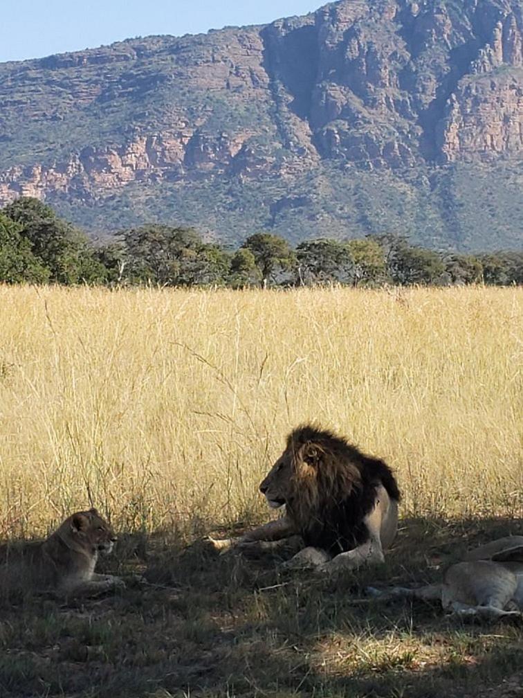 Honeyguide Conservation Lodge