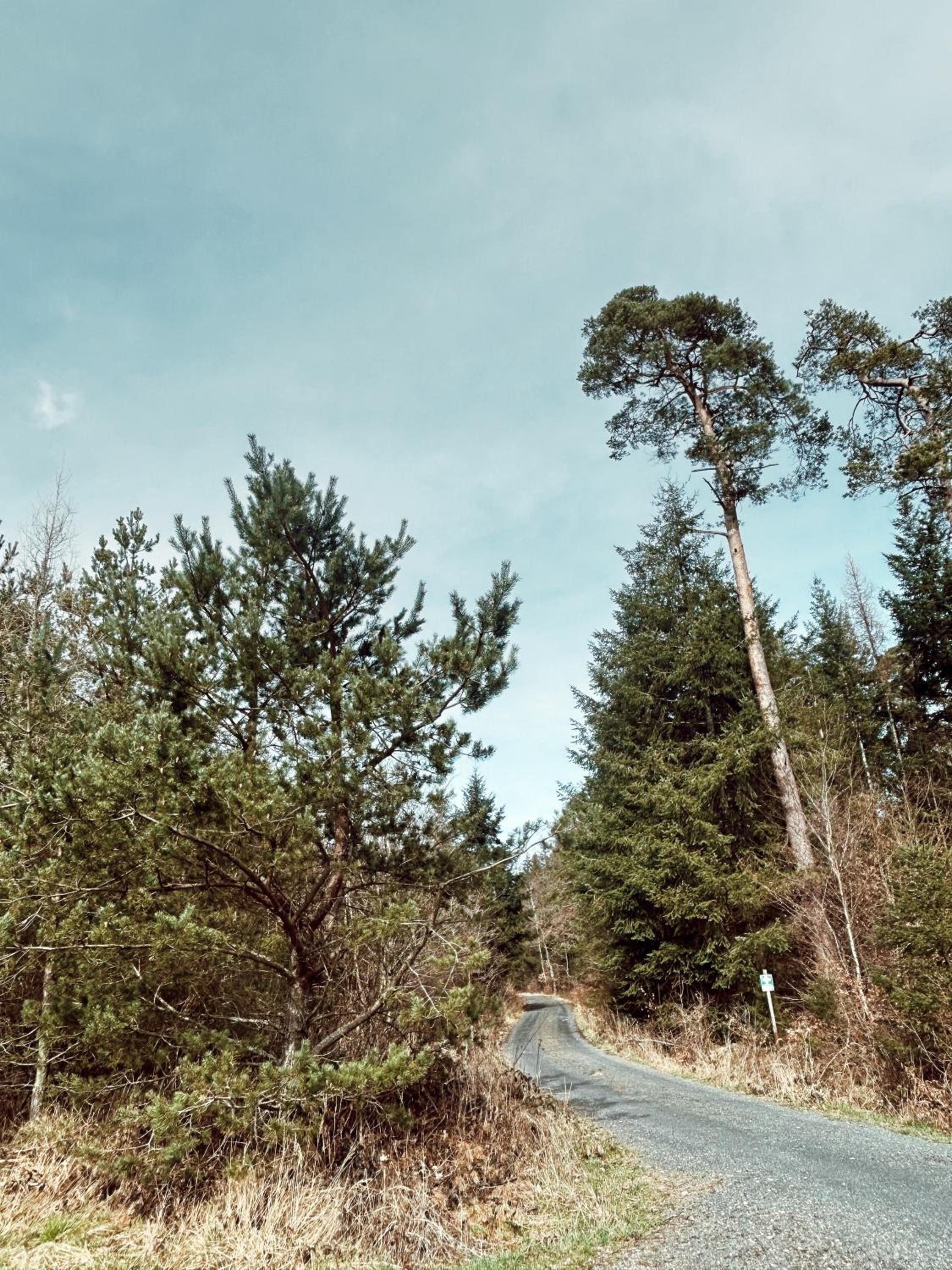 Dein gemütliches Waldhaus im Soonwald