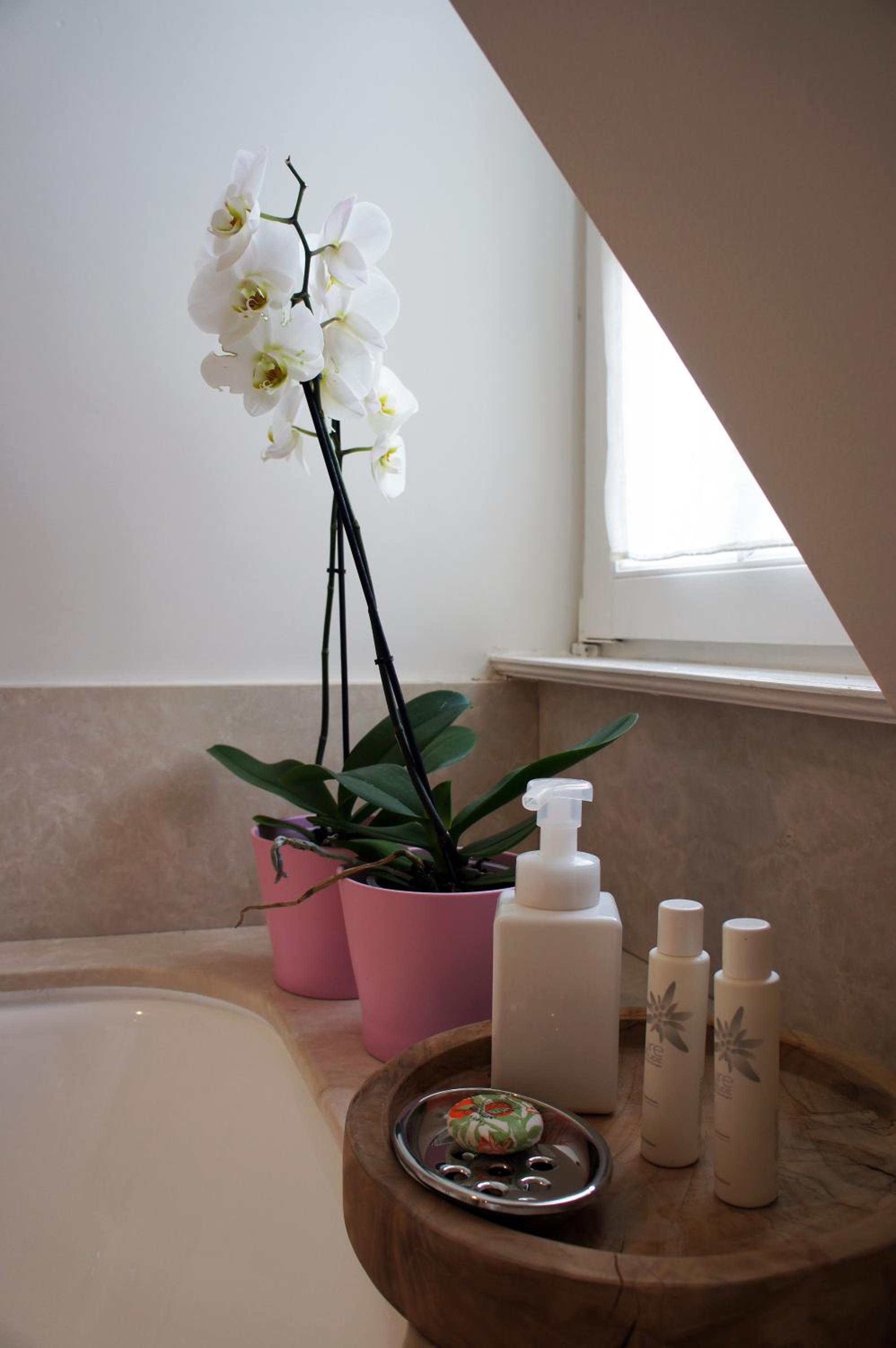 Guest house La Maison Chantecler