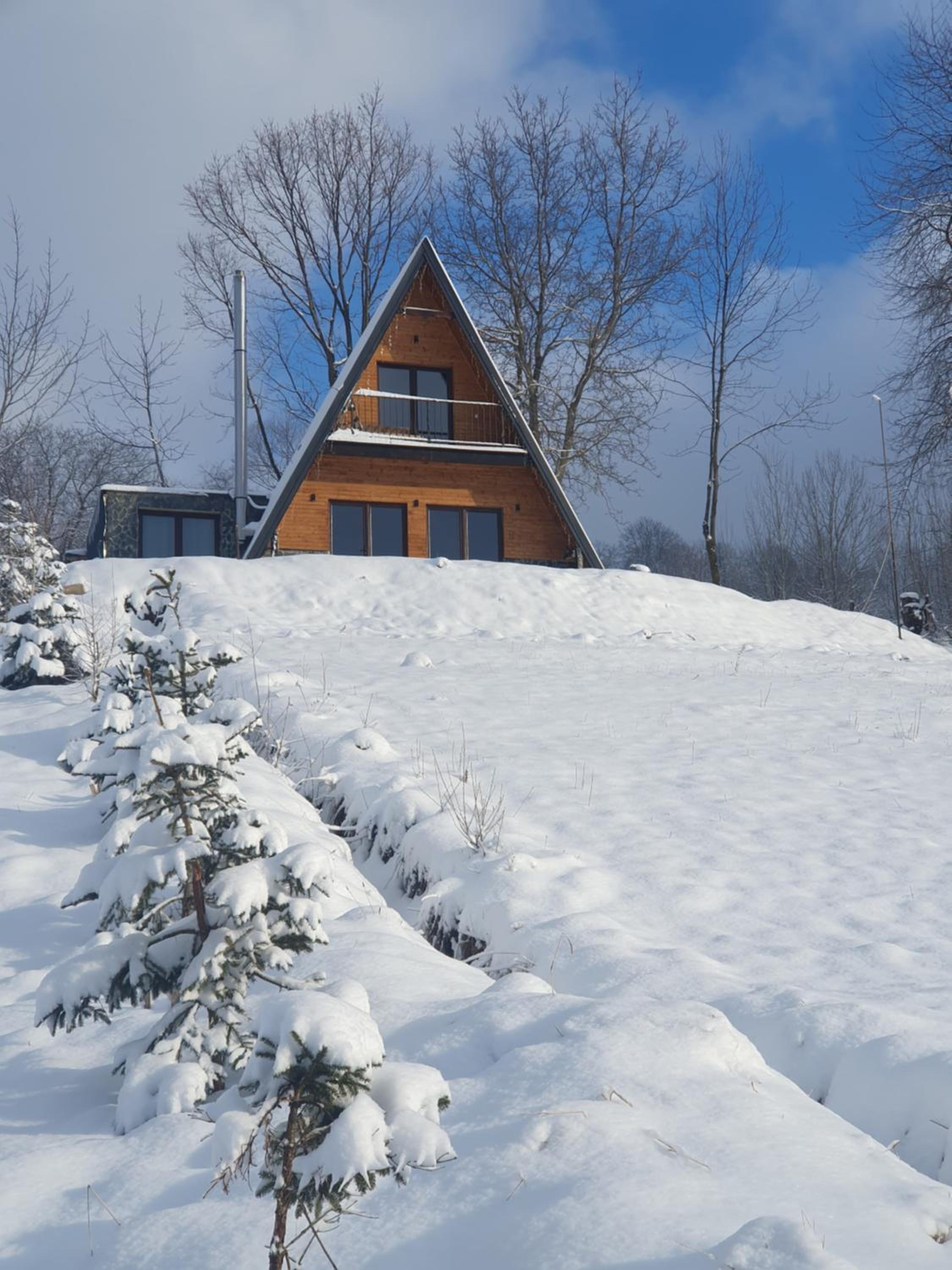 Cabană A-Frame Bran Chalet