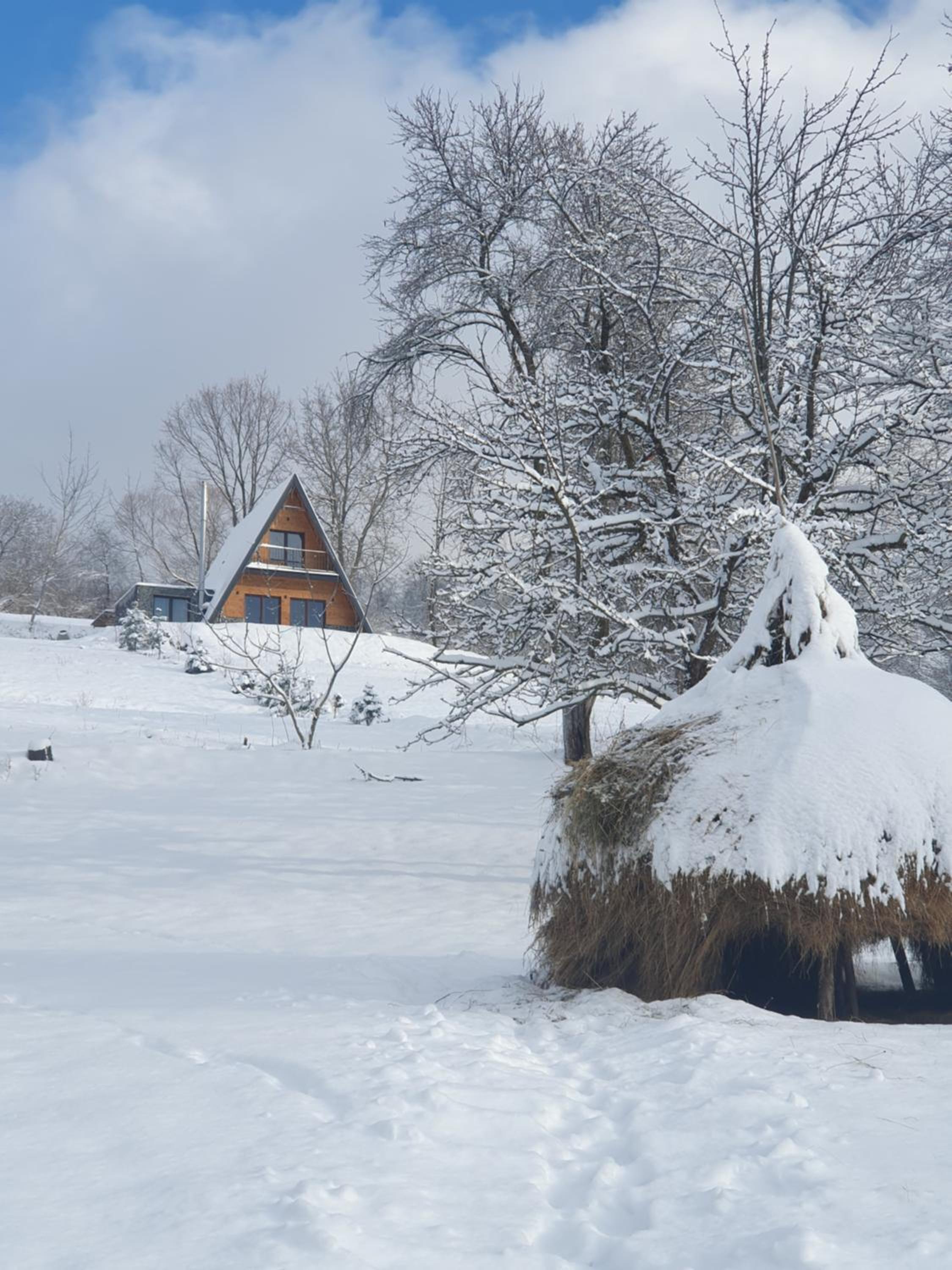 Cabană A-Frame Bran Chalet