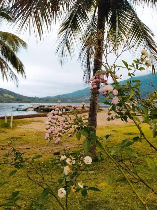 Casa completa em ilha de Paraty - Vila Caiçara