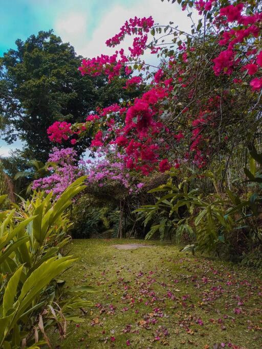 Casa completa em ilha de Paraty - Vila Caiçara
