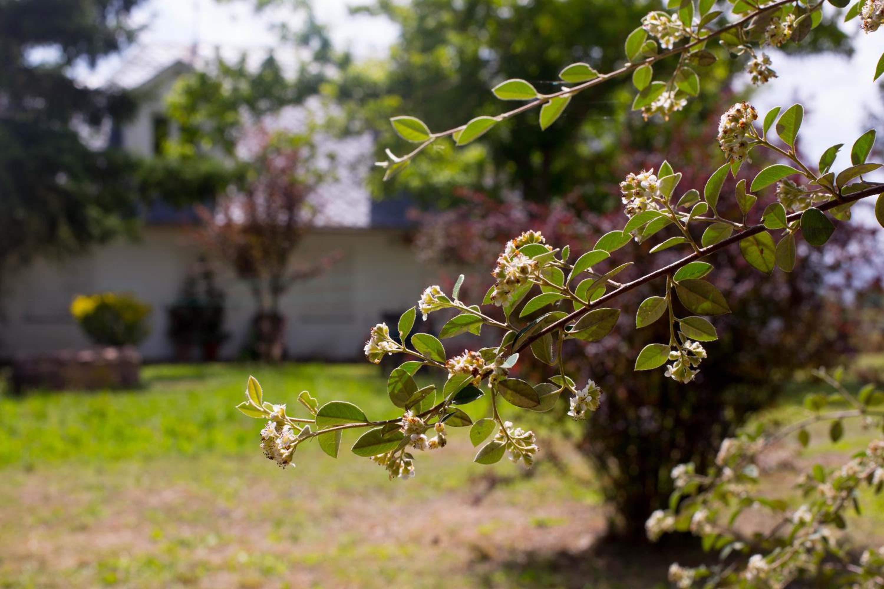 Espaciosa planta baja en chalet familiar