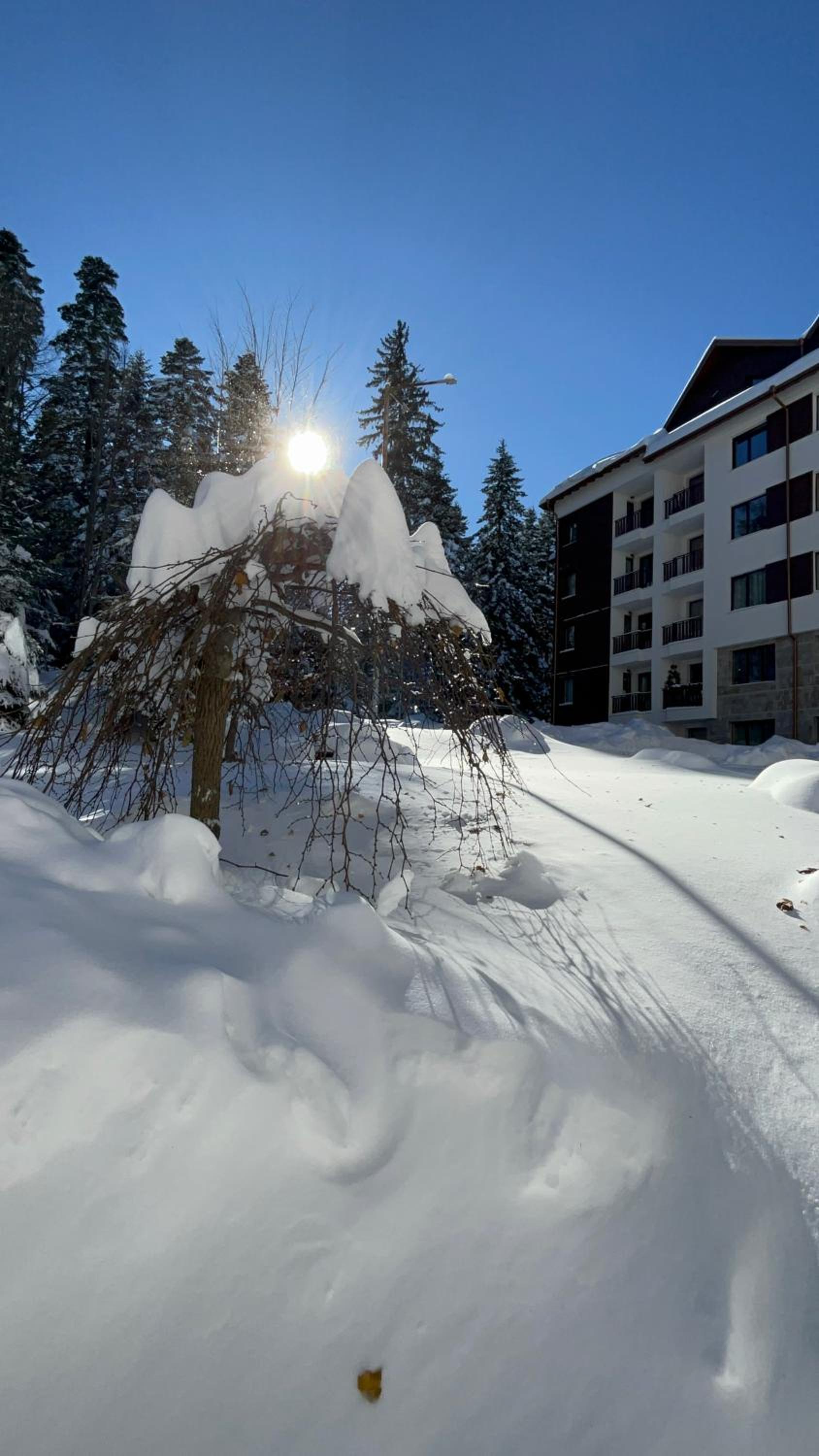 Hotel Borovets Gardens B21 Morunov Apart