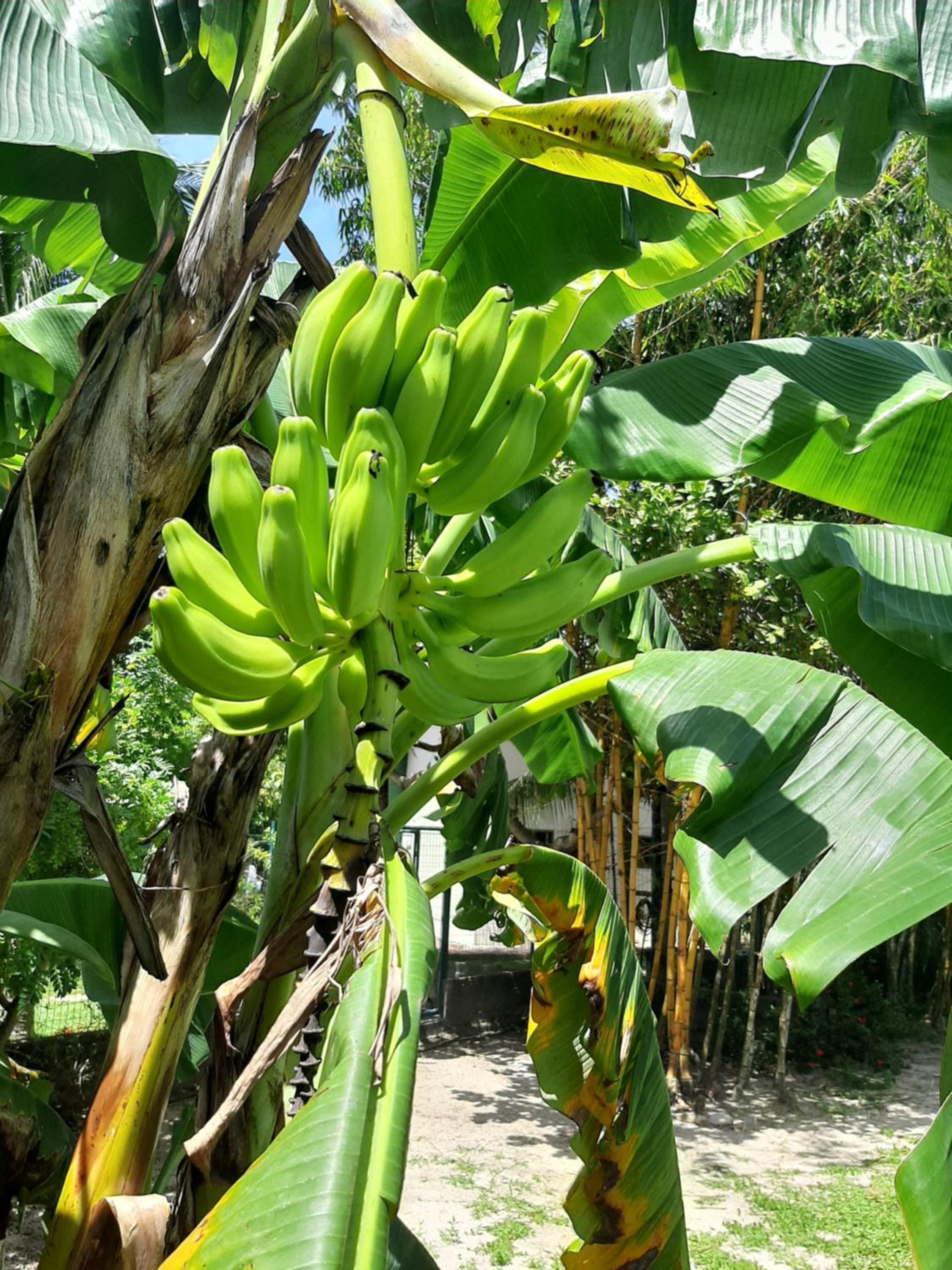 Casa Jeri