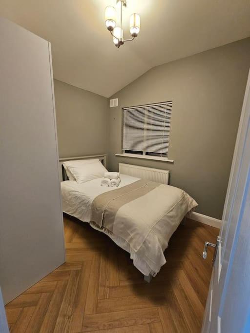 Little Cottage Oassis