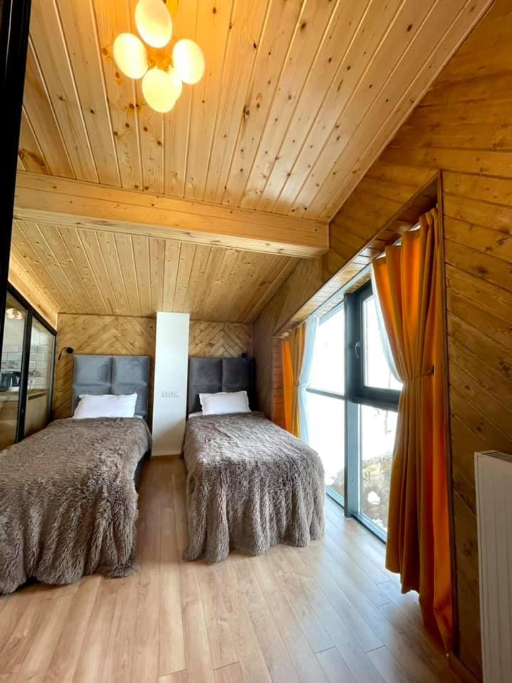 winter house GUDAURI