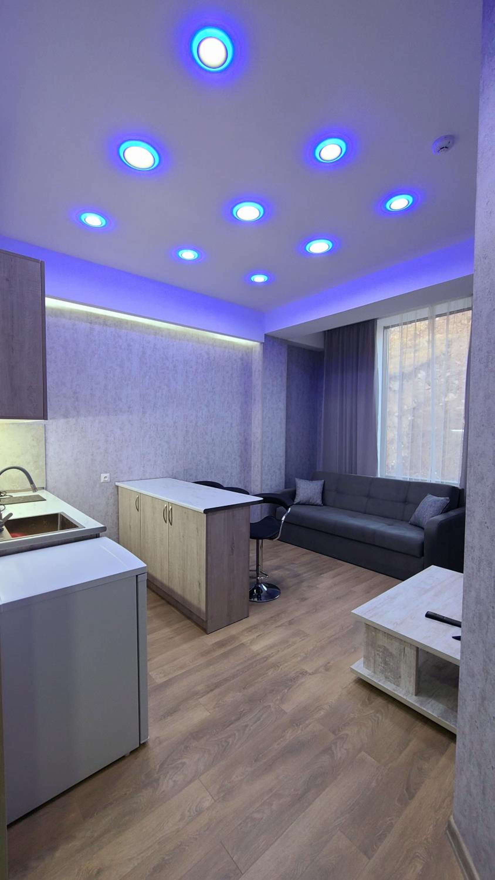 winter house GUDAURI