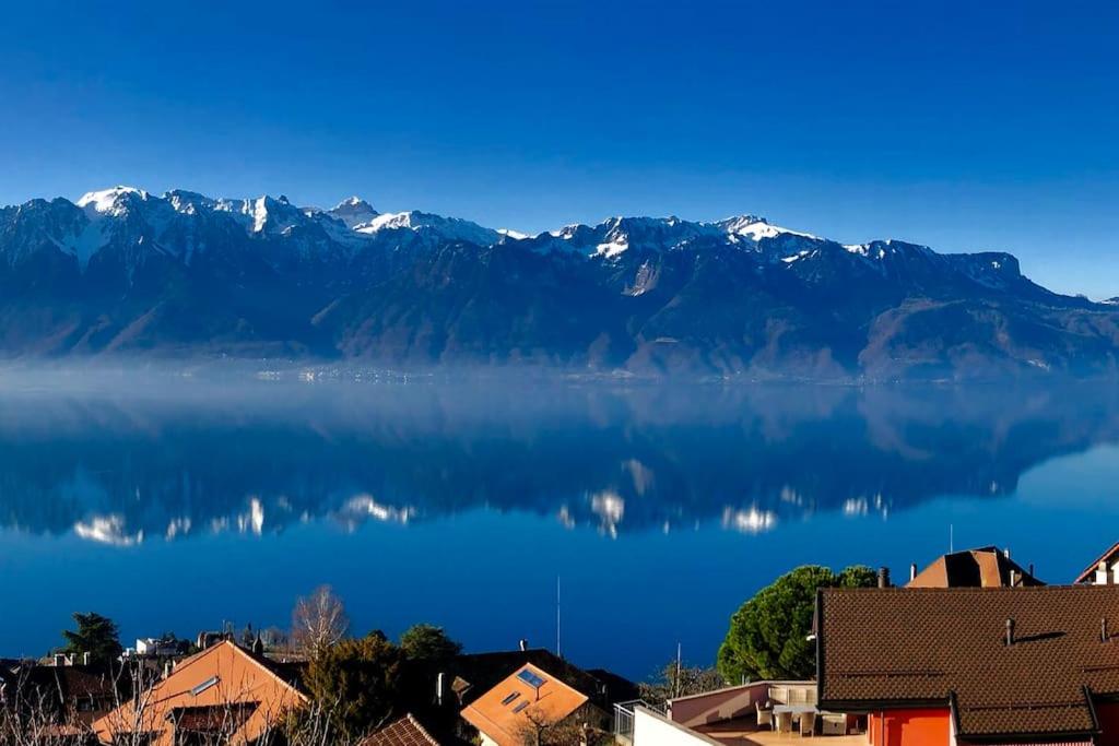 View Magnifique Lac Léman - Chardonne