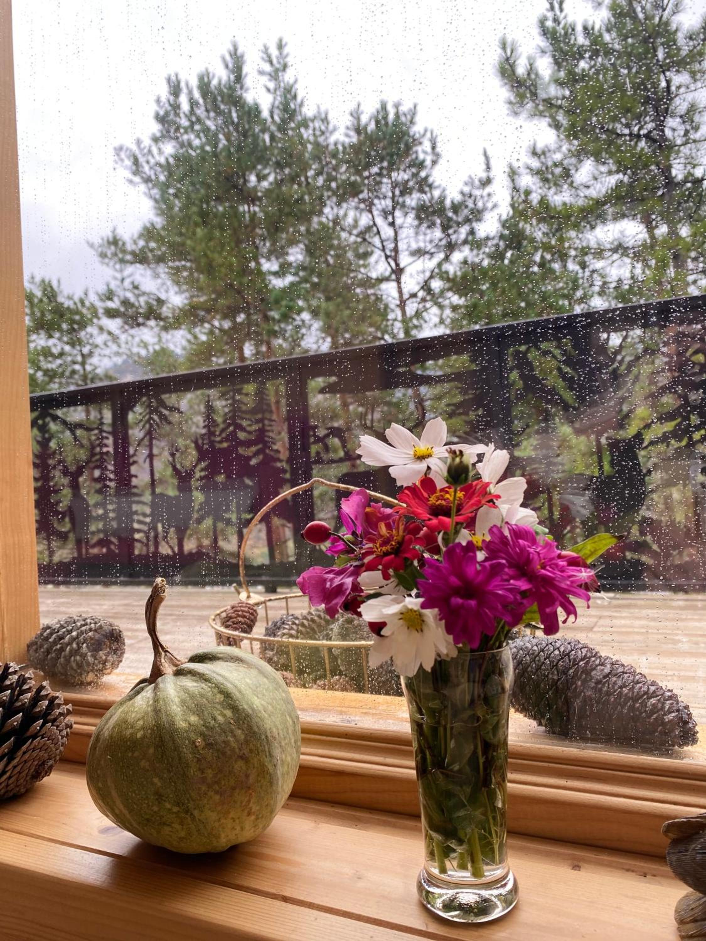 EcoCottage Didi Mindori view 4