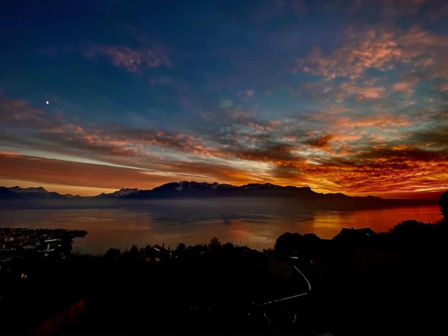 View Magnifique Lac Léman - Chardonne