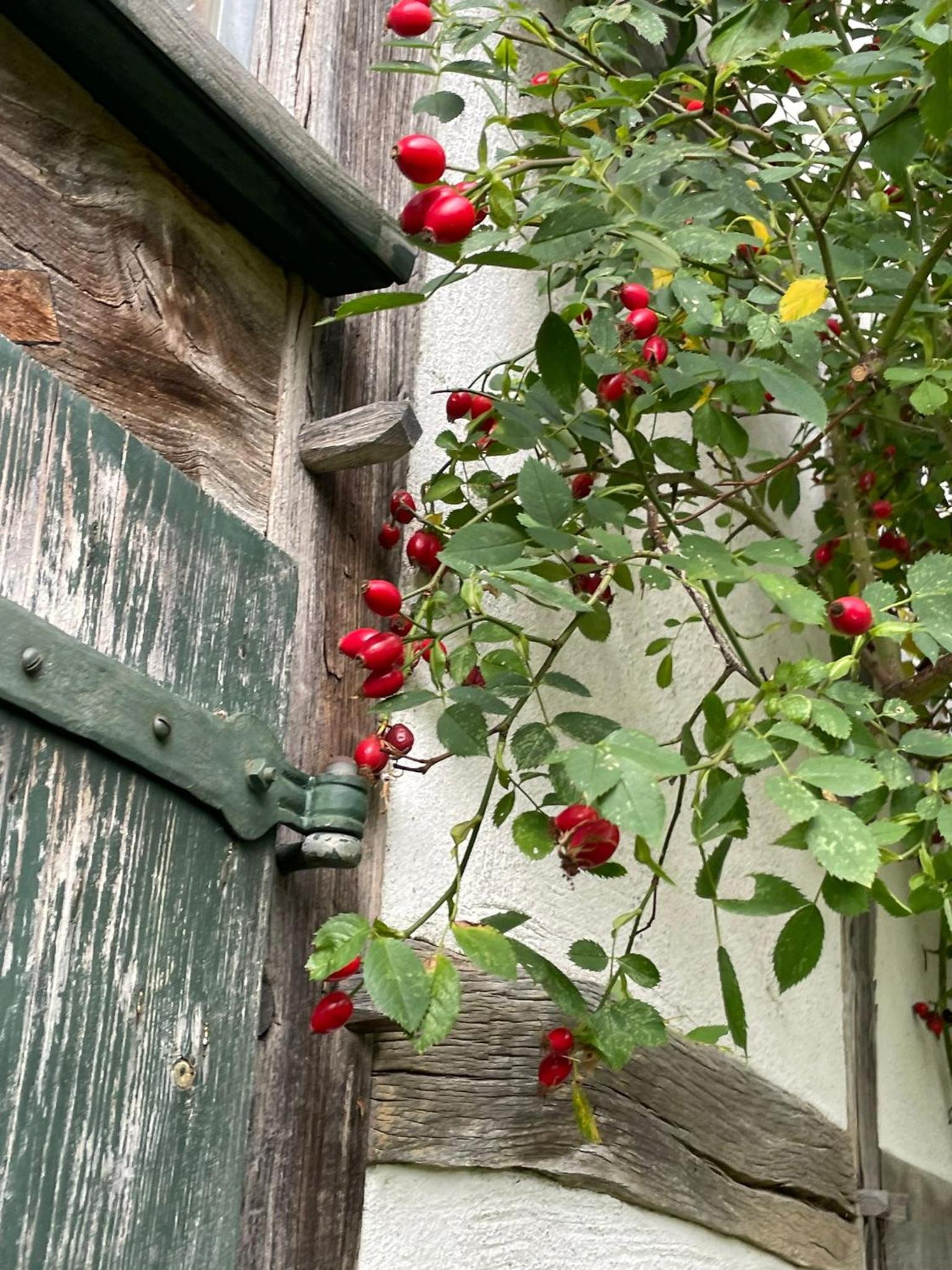 Cherrytree Cottage 1840