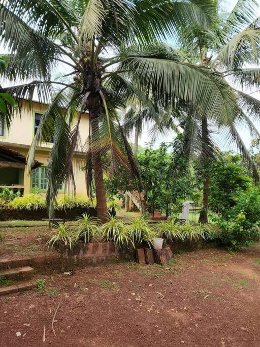 Garden studio by Wildflower Goa view 3