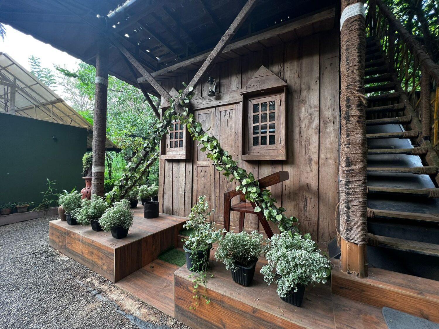 Ela Forest Stay view 2