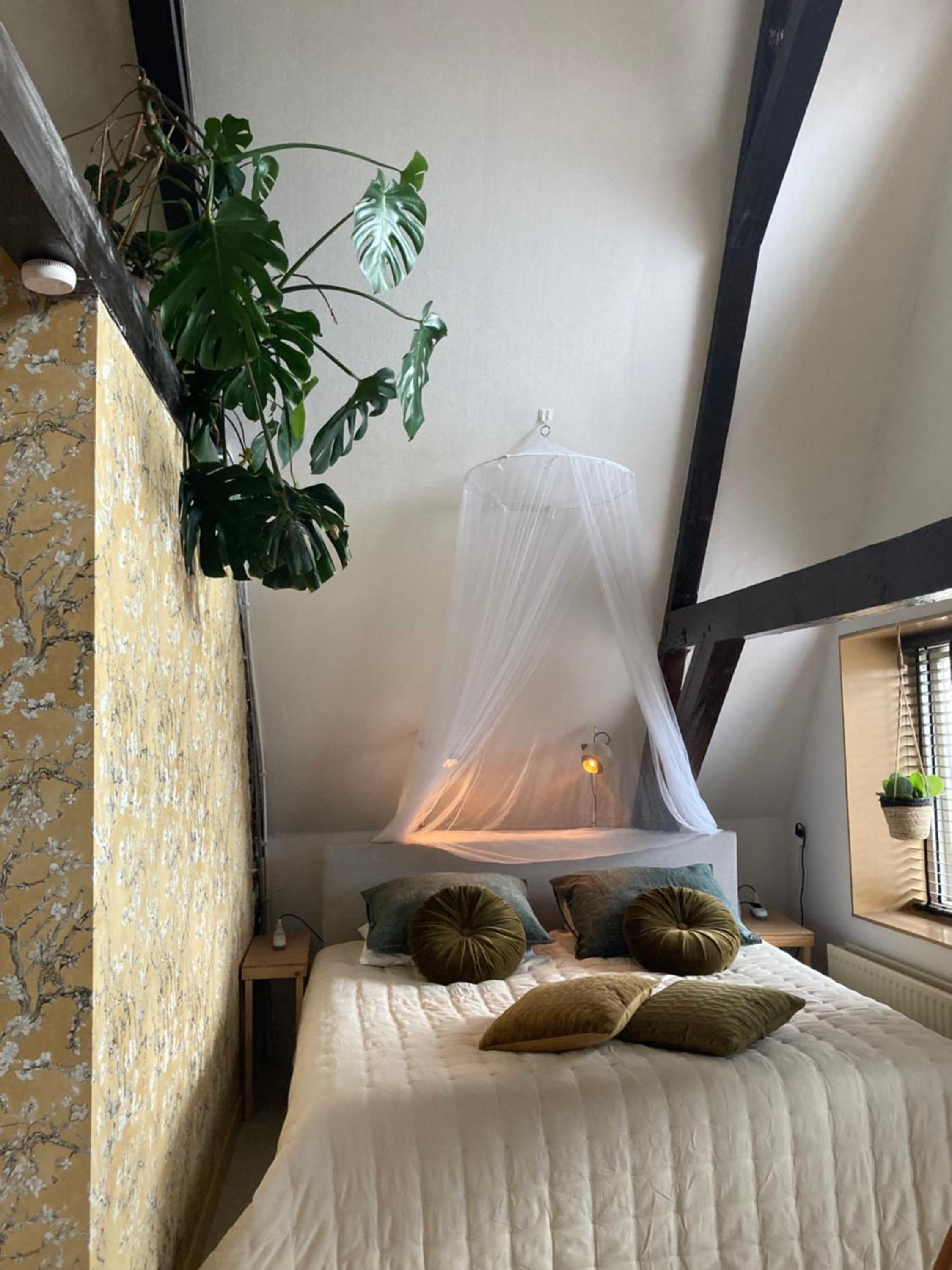 Vintage appartement in Pakhuis Friesland in centrum view 2