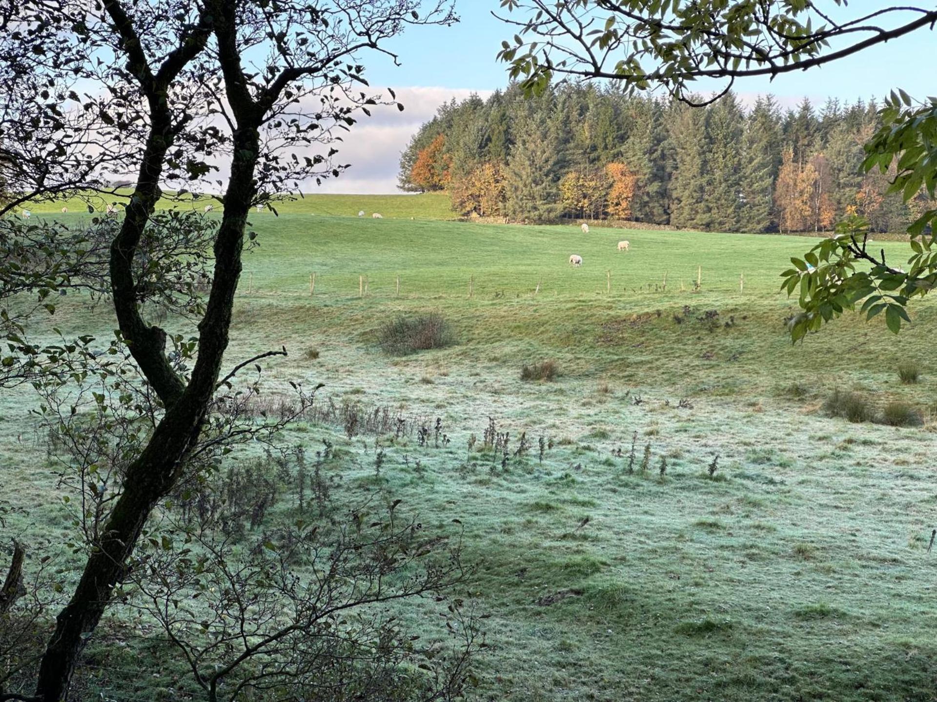 Superb Lodge-Yorkshire Dales & Forest of Bowland view 5