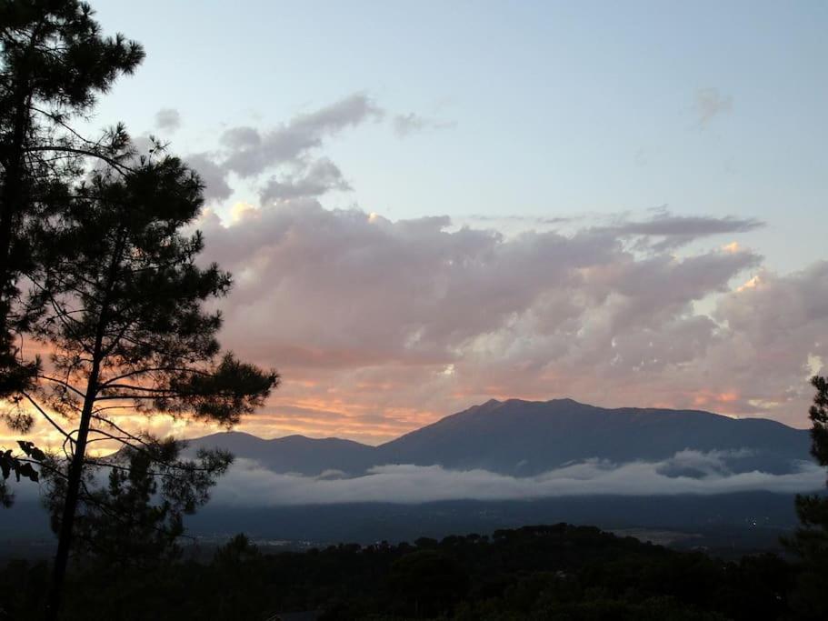 L'AMAGATALL DEL MONTNEGRE