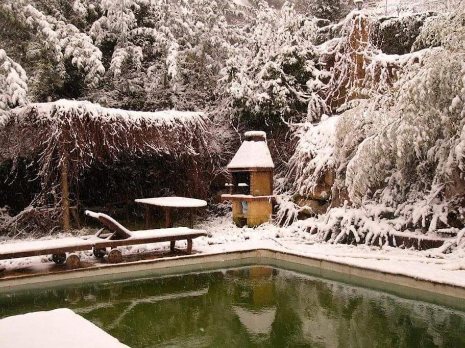 L'AMAGATALL DEL MONTNEGRE