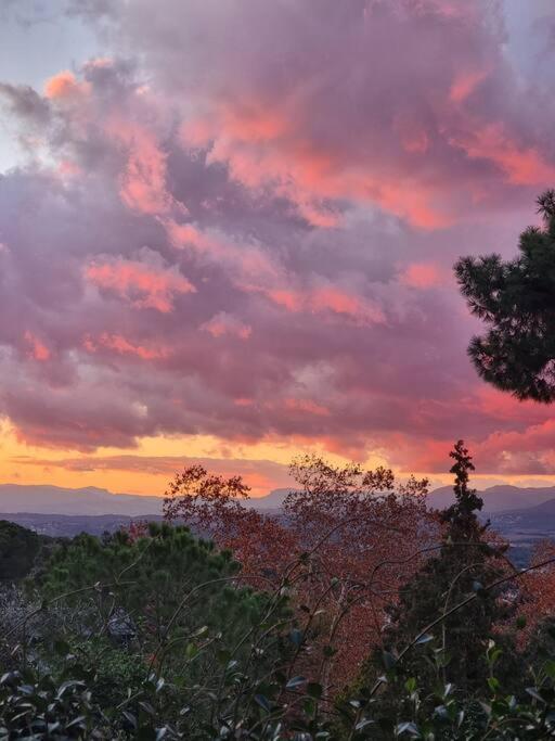 L'AMAGATALL DEL MONTNEGRE