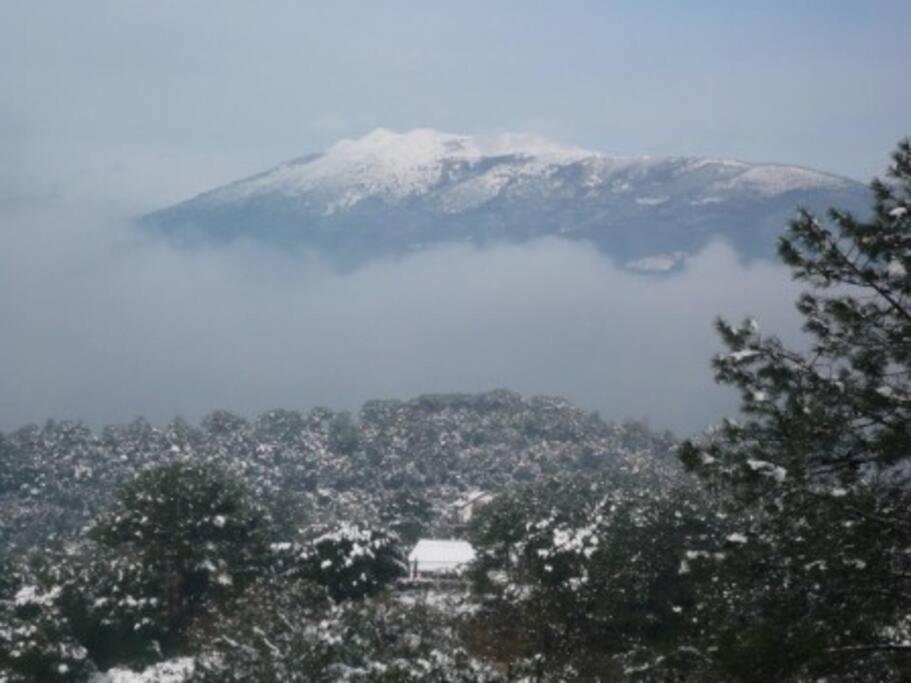 L'AMAGATALL DEL MONTNEGRE