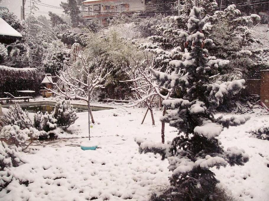 L'AMAGATALL DEL MONTNEGRE