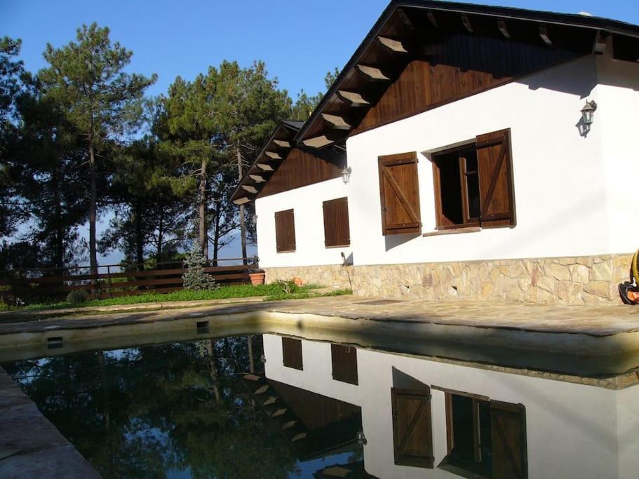 L'AMAGATALL DEL MONTNEGRE