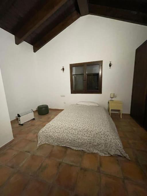 L'AMAGATALL DEL MONTNEGRE