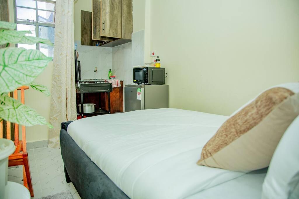 Twilight modern studio with free WIFI and Netflix