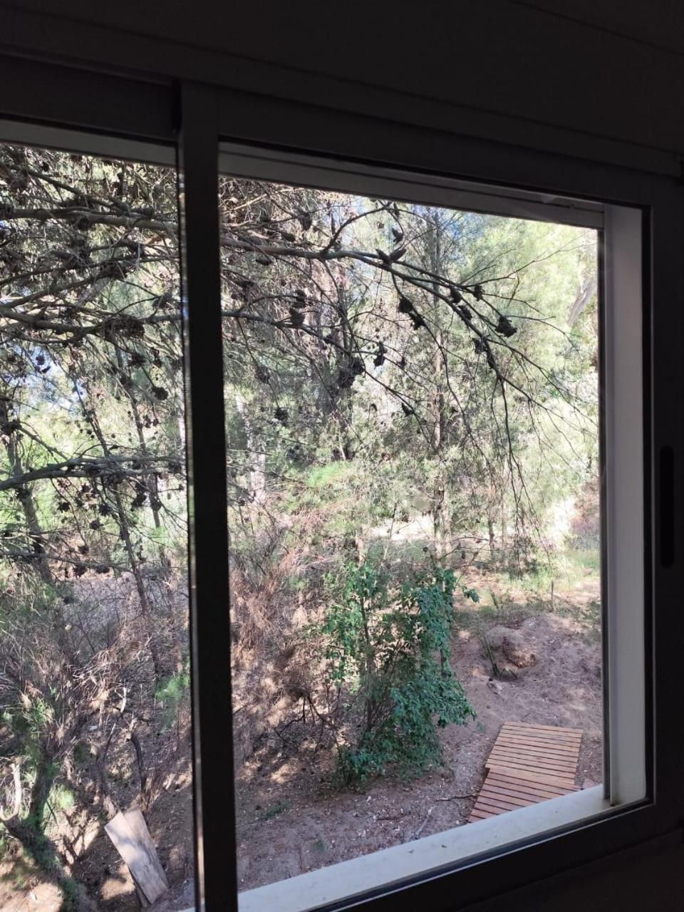 Casita en el bosque