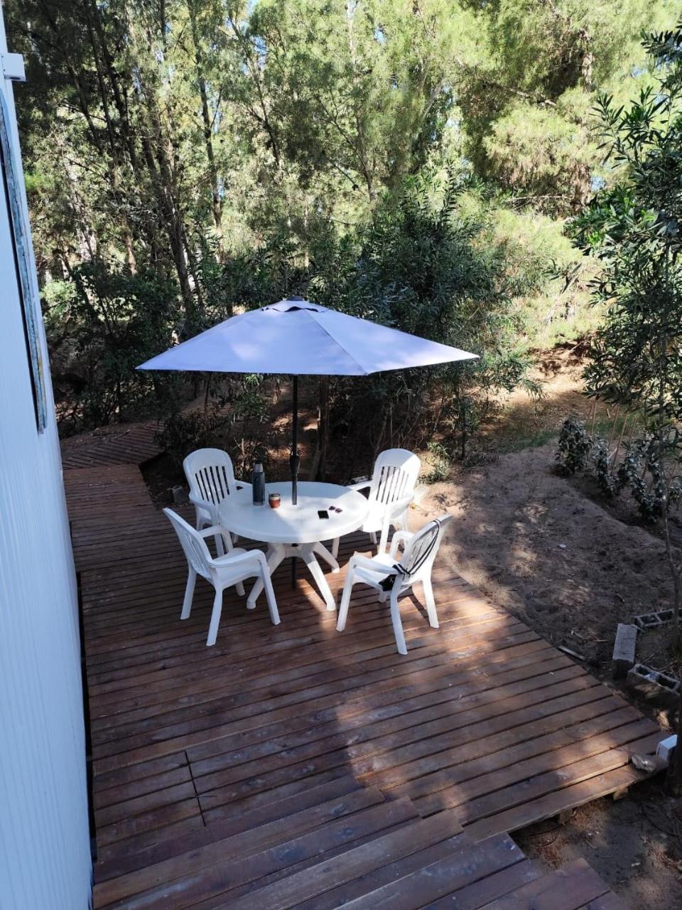 Casita en el bosque