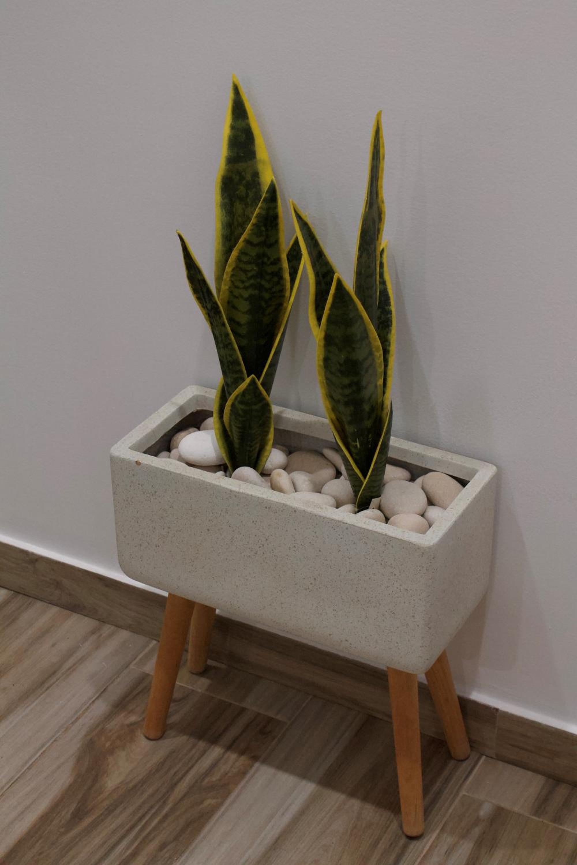 Photo 33