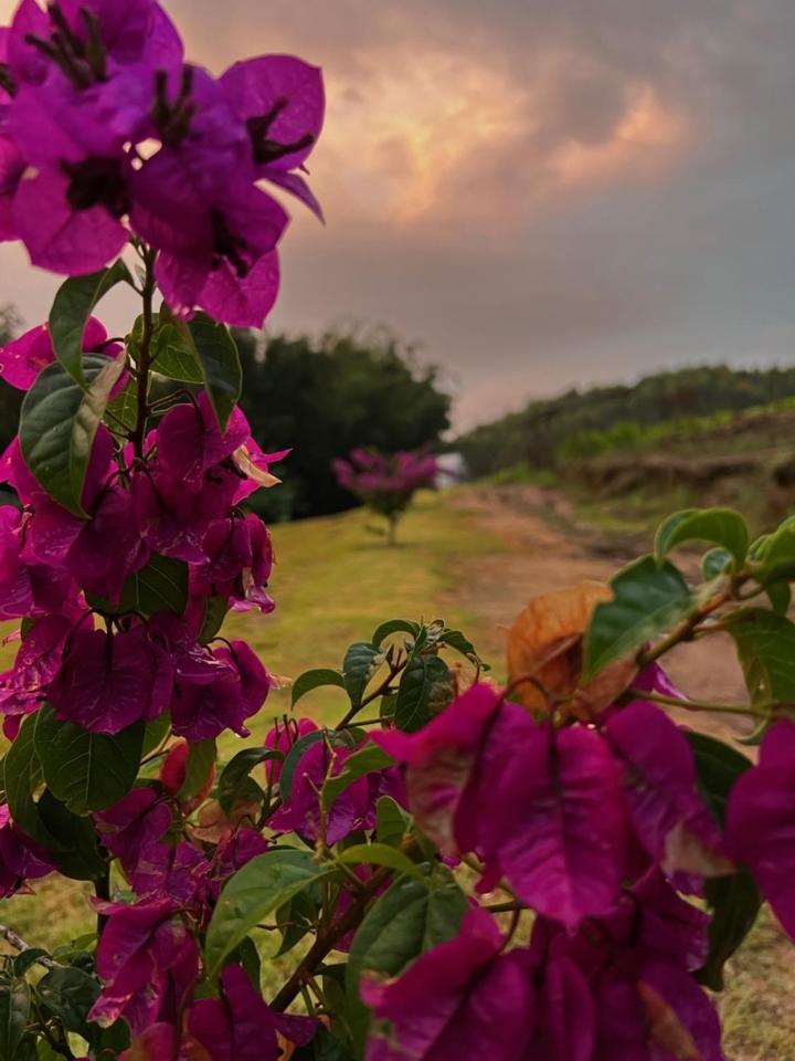 Pousada Vale Das Águias