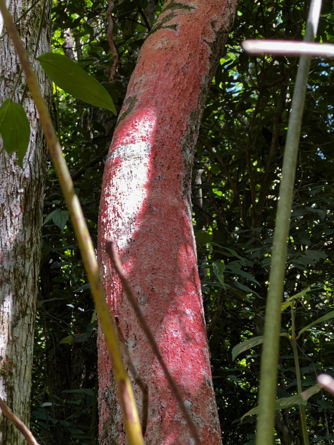 Pousada Vale Das Águias