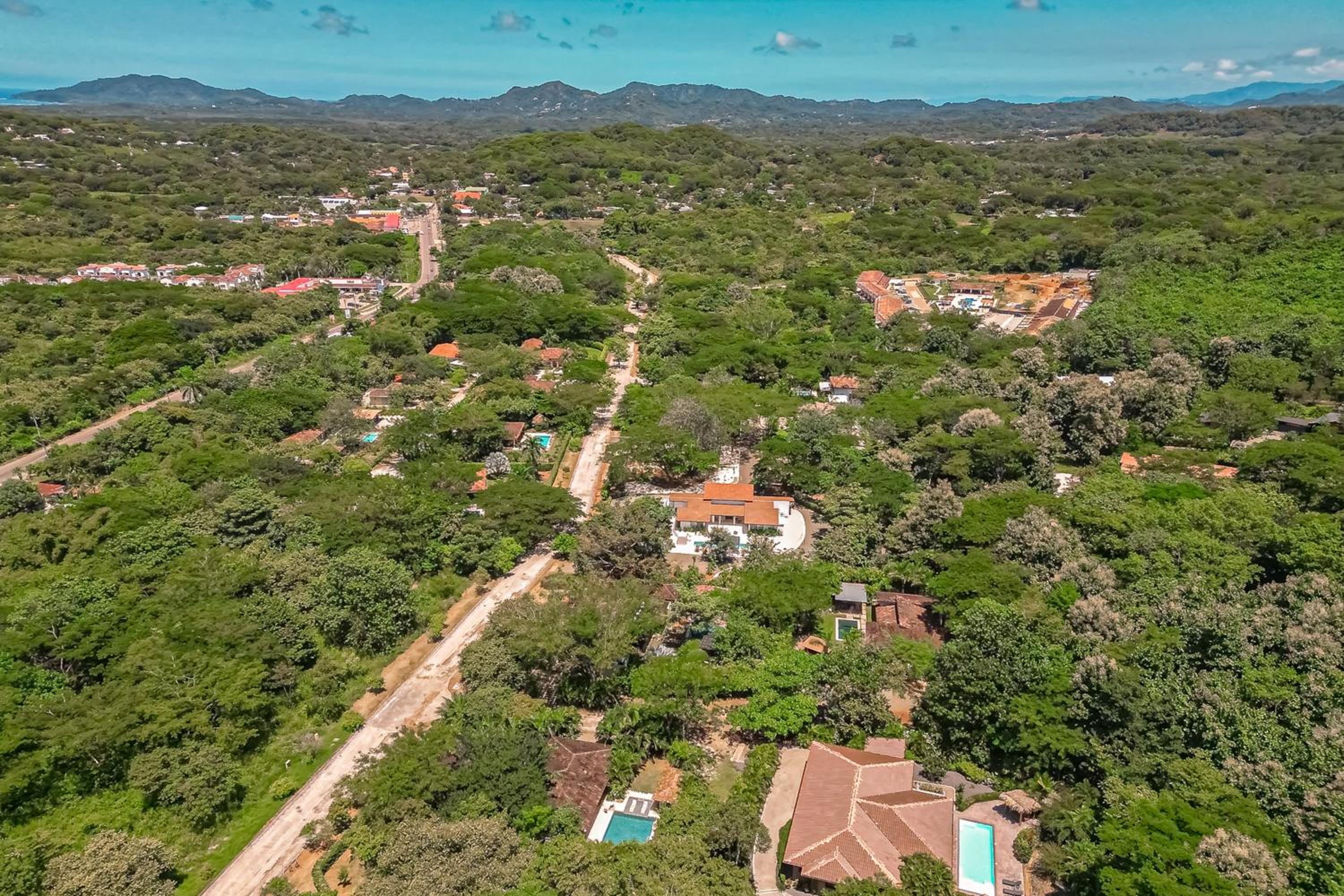 Jacarandas, 8
