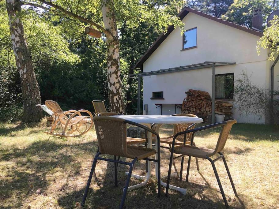 Ferienhaus im Wald an der Weinstrasse