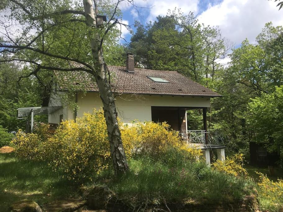 Ferienhaus im Wald an der Weinstrasse